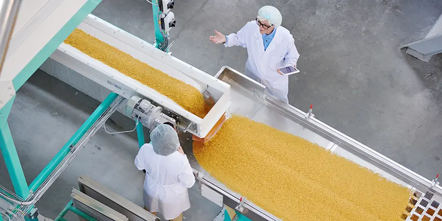 Lebensmittelbetriebe und Produktion Zwei Personen in Laborkitteln inspizieren und diskutieren gelbe Lebensmittel auf einem Förderband in einer Lebensmittelverarbeitungsanlage.